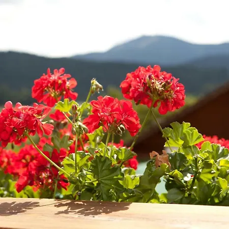 Silberbauer Gasthuis 3*