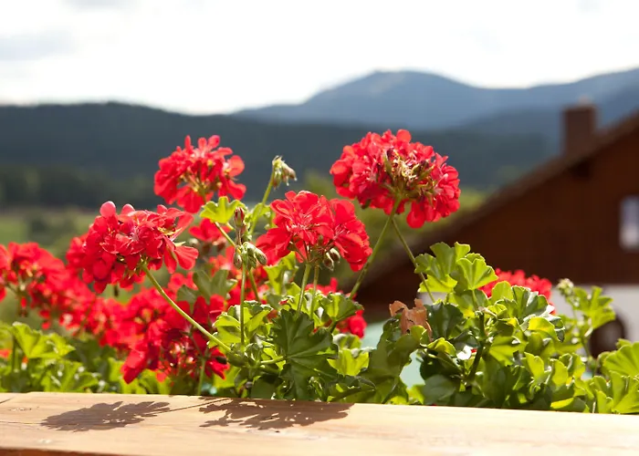 Silberbauer Penzion 3*